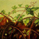 painting of a blackberry bush