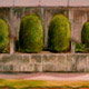 painting of retaining wall with bushes